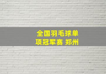 全国羽毛球单项冠军赛 郑州